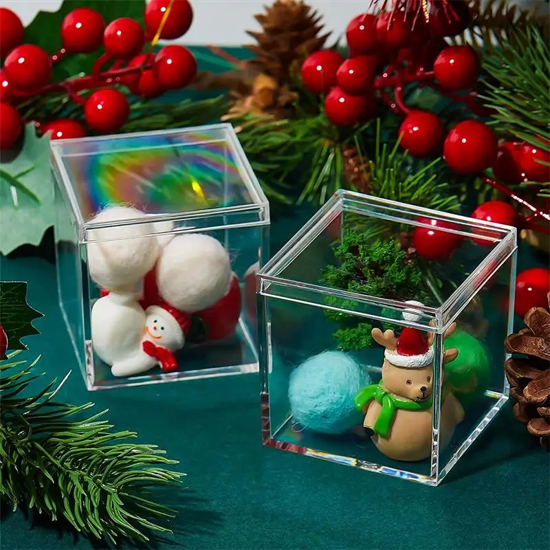 Cajas acrílicas transparentes  - Food Storage Organiser reseña y precio